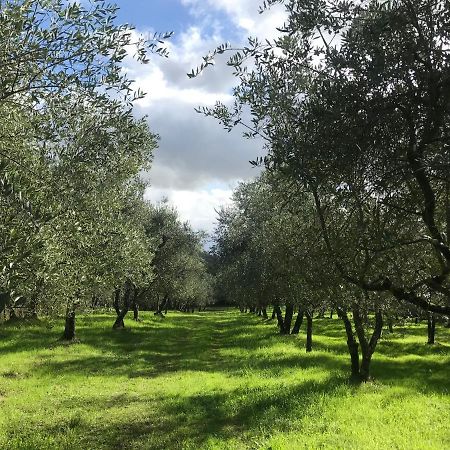 Agriturismo Podere I' Caldino Troghi Bagian luar foto