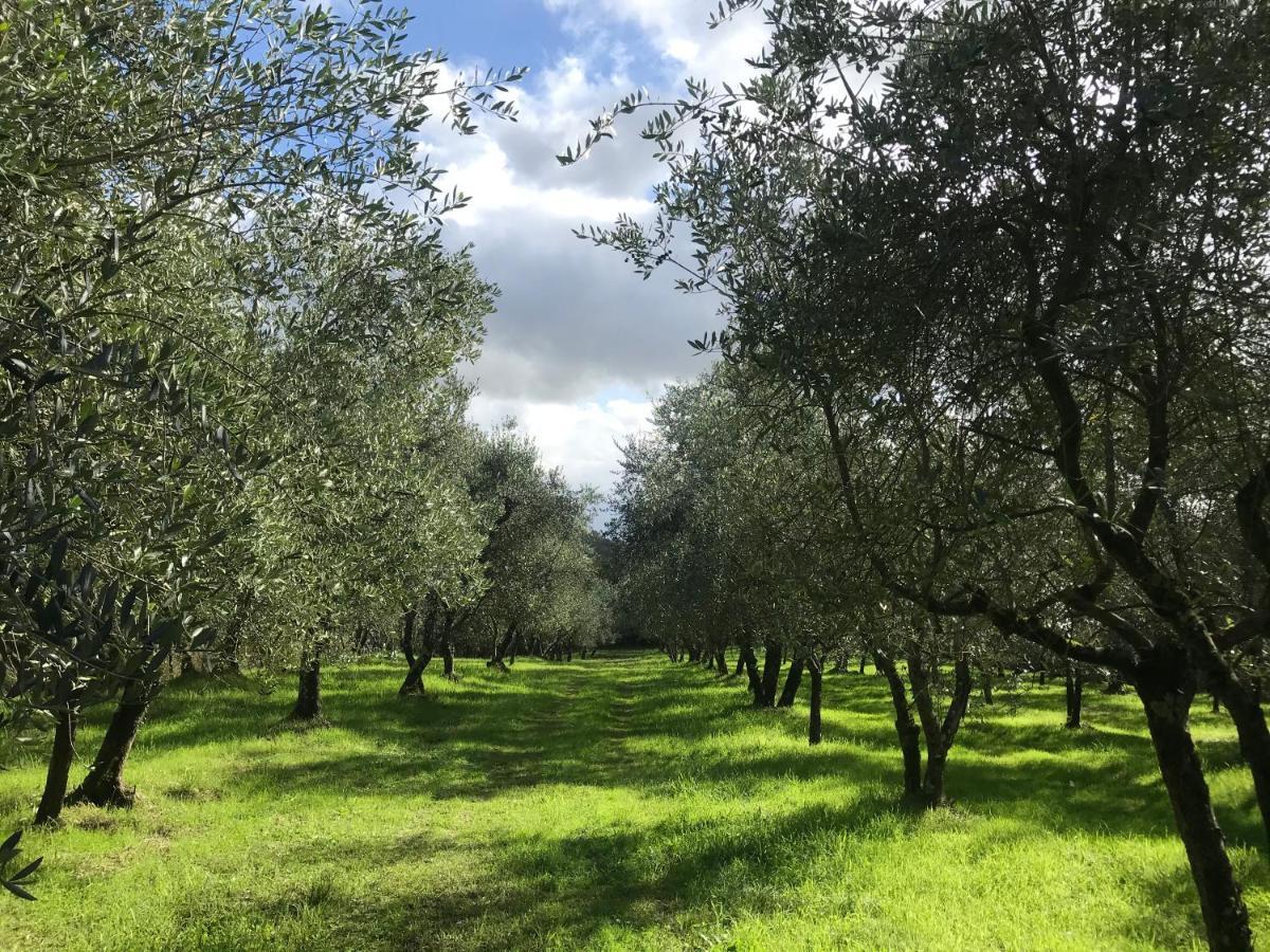 Agriturismo Podere I' Caldino Troghi Bagian luar foto